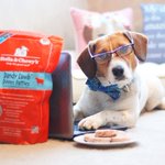 Photo by Lucy & Emily (@Pupsonpar)