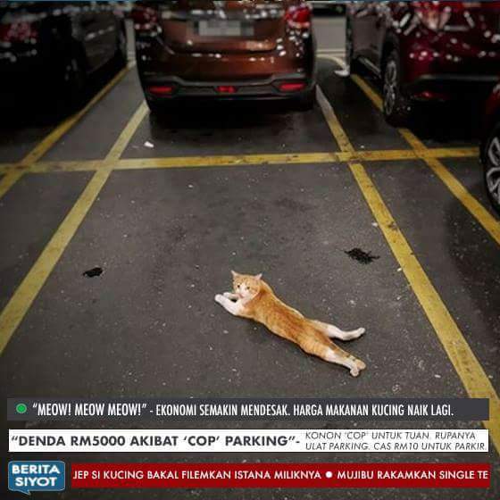 KucingBertweet's tweet photo. Ulat parking rupanya.. Mesti nak beli makanan mahal ni..😁😁 https://t.co/wkgJvgLoO0