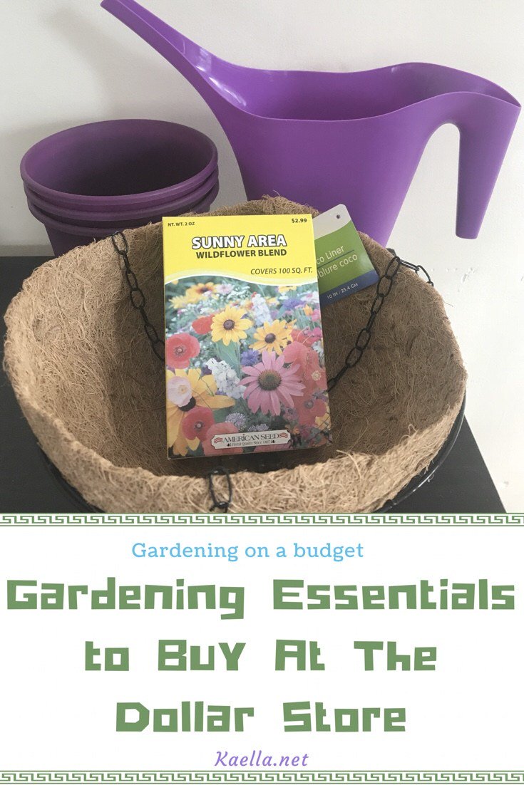 kaellaboutique's tweet photo. Gardening Essentials to Buy at the Dollar Store https://t.co/f47JVC00J7 https://t.co/3vpRGYqOeF