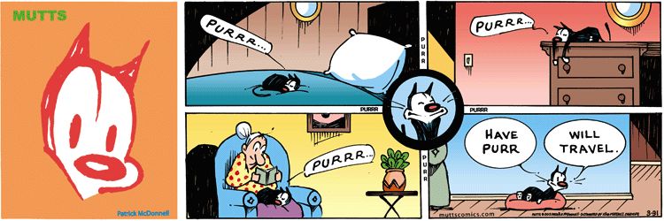 MUTTScomics's tweet photo. Where is your kitty purring today? https://t.co/y1UdMpvVK8