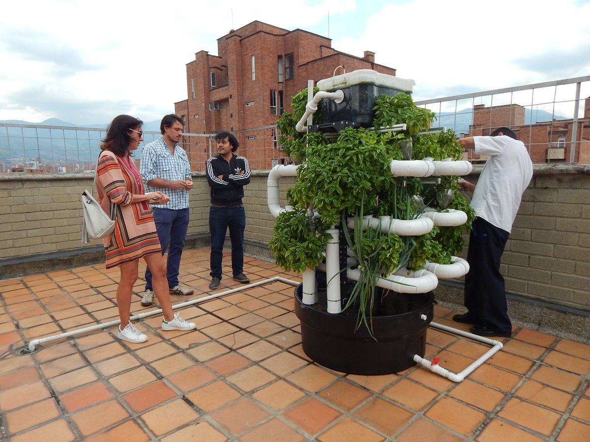 La_network's tweet photo. Desde Medellín, el colectivo @DelTechoCol  se basó en las chinampas de los ancestros mexicanos para innovar cultivando peces y plantas en los techos urbanos usando la técnica de acuaponía: innovación con propósito social. https://t.co/stq3A74RcS https://t.co/1rpfSddxsf