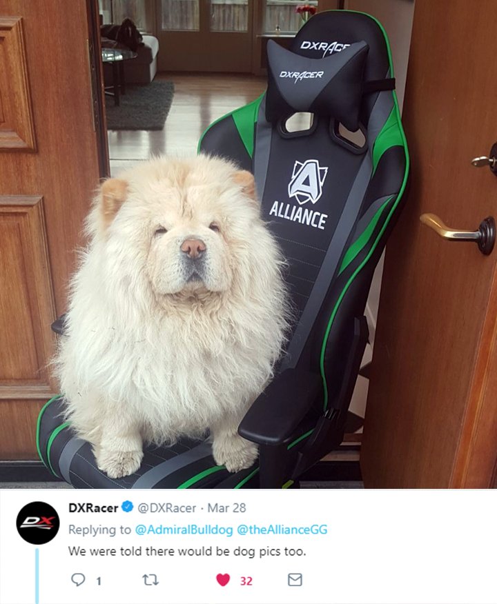 You asked, we deliver! 

Who's a berry good boy? 🐶 <a href="/AdmiralBulldog/">Henrik Ahnberg</a> 

Alliance <a href="/DXRacer/">DXRACER💺</a> chair is now available in the US!
🇺🇸 chair.thealliance.gg/US
🇪🇺 Pre-order: chair.thealliance.gg @DXRacerEurope 
🇨🇦 dxracer.com/ca/en-ca/produ…
🌐 Global resellers: dxracer.com/us/en-us/s/glo…