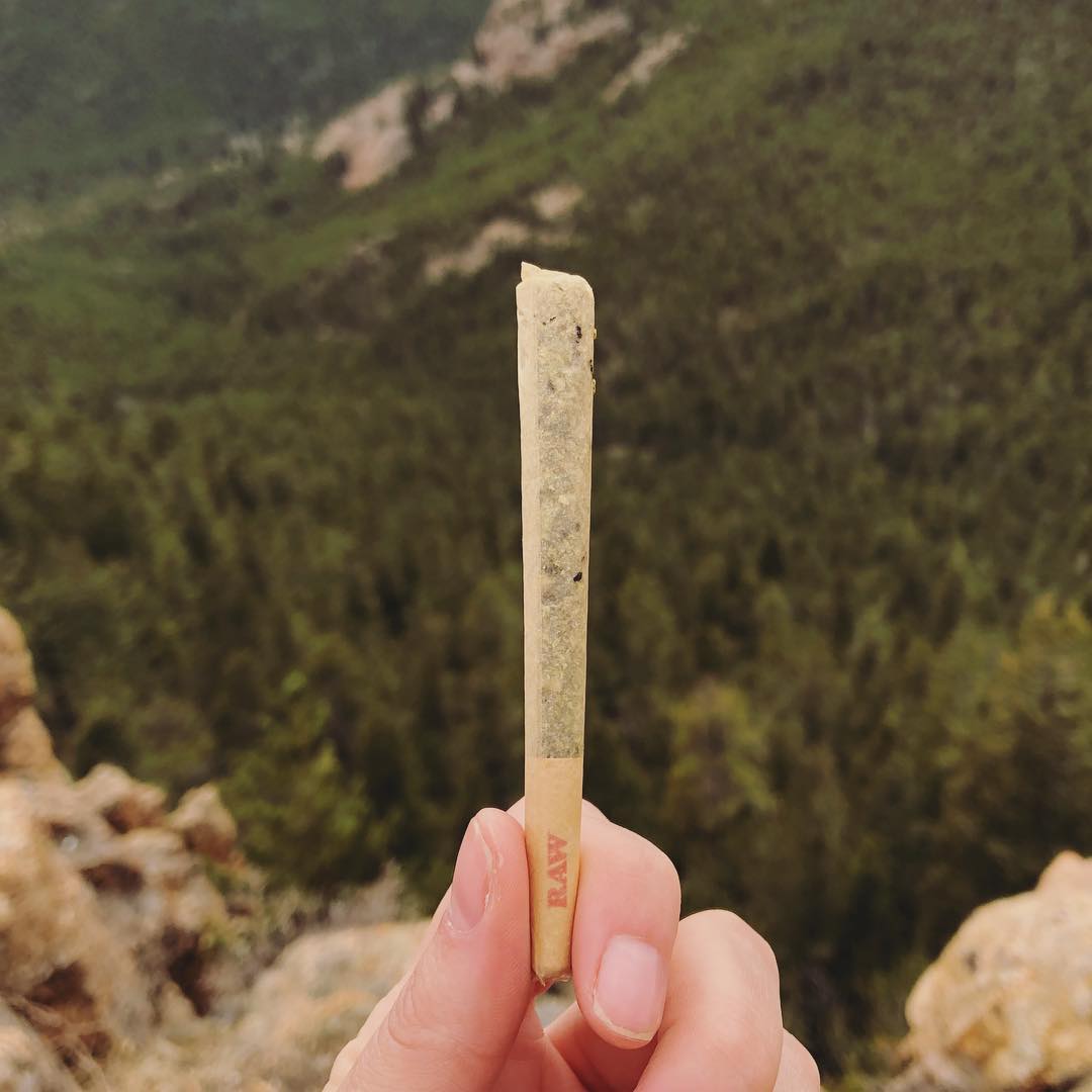 HerbalCenterDen's tweet photo. **420 EXTENDED** We have decided to offer some of our incredible 420 sales this weekend too! JOINTS for $4.20 – just mention code “REWIND 420” •

Available at both locations while supplies last. https://t.co/r2Law9W3Yu