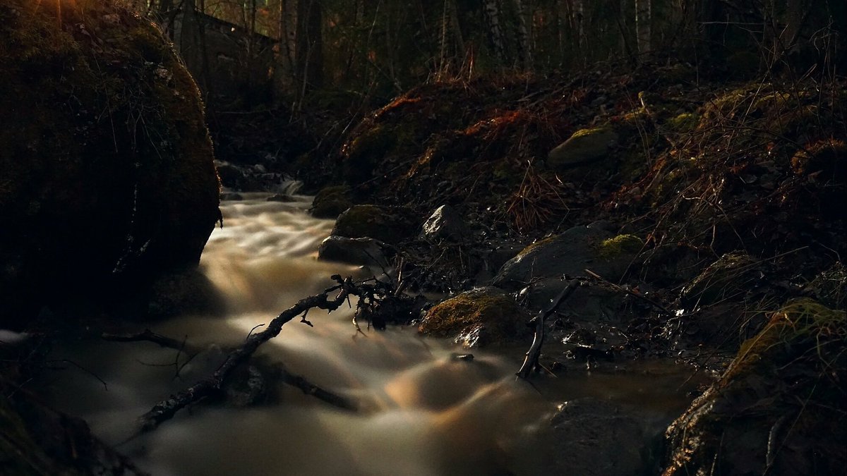 C_Sundstrom's tweet photo. The beauty of Northern Sweden. 
#sonyalpha #carlzeiss #dynamicperception #photography #photographer #film
#filmmaking #timelapse #forest #moon #nature #winter
#Sweden #spring #night #nightsky #sverige #natur #vår #vinter #スウェーデン #自然 #映画 #面膜 #写真 https://t.co/kW8xC8vVue