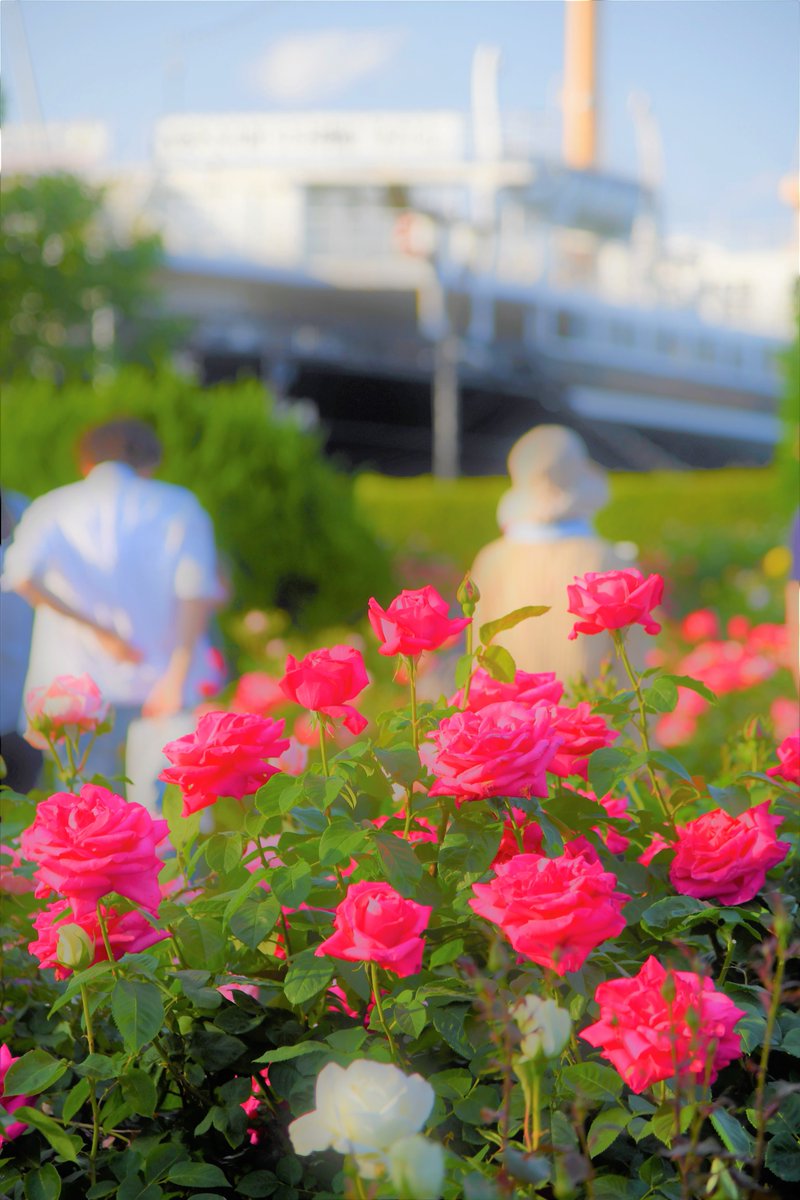 咲き誇る花 咲き誇る花