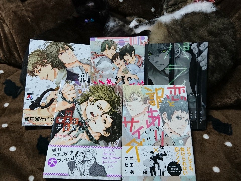 刑事にロマンス