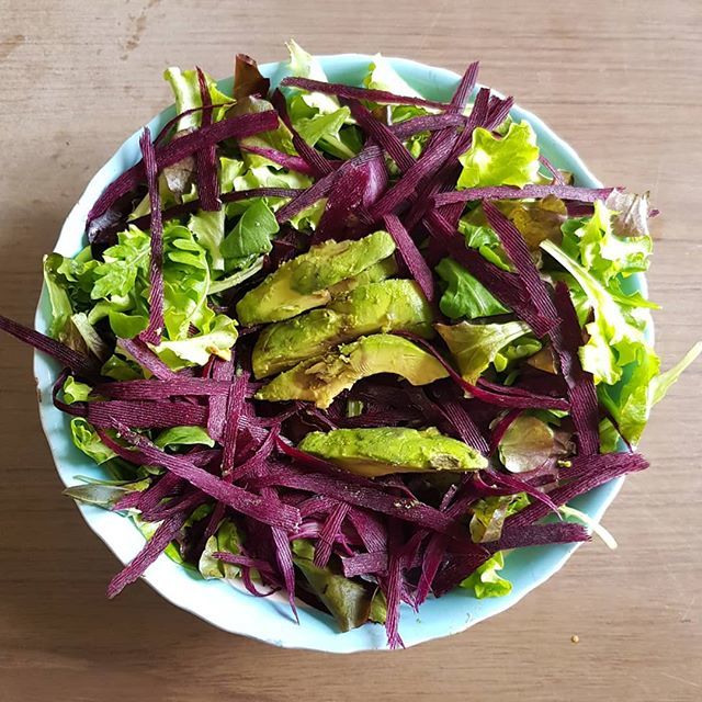 Mix of #salad, #purple #carrot and #avocado 🥑 #rawvegan #rawfood #veganraw #salad #raimbow #veganitalia #veganism #vegan #healthy #italy #vegani #wfpb #wholefoods #plantbased #plantpowered #plants #vegansalad #fat ift.tt/2HBDpbN