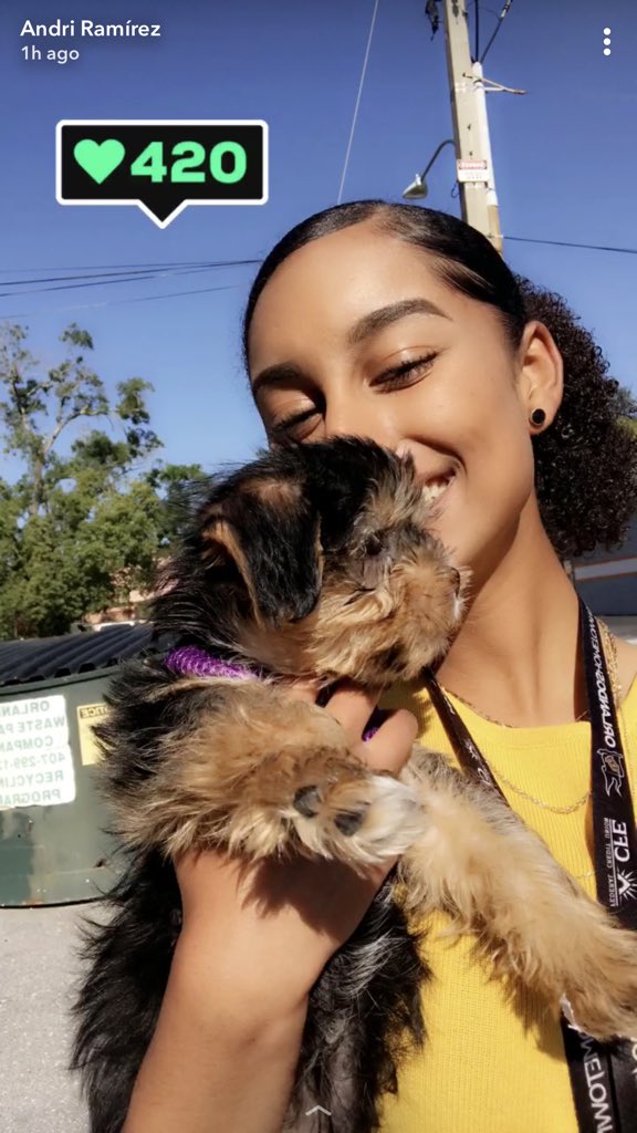 TSDominicanRep's tweet photo. messed around and ended up buying a puppyyy https://t.co/driFg3j3Zc