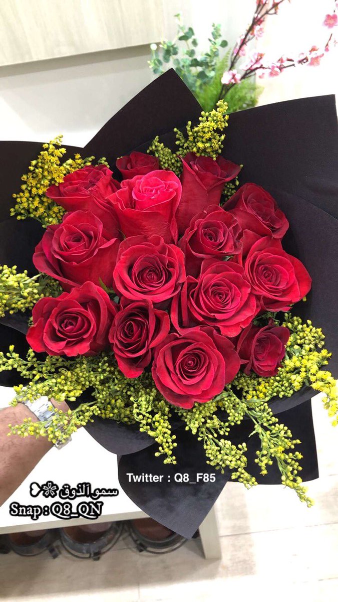KW11M's tweet photo. ↓🎼🎻` 

أغبـى #الرجال : من يراقب #امرأةً كي لا تخونه ⠀⠀
⠀⠀
وأكثرهم ذكاءً : من يملأ قلبها حباً حتى لا يكون ⠀⠀
⠀⠀
هناك متسع #لرجلٍ آخر ،،،

⠀⠀ #غرد_بصورة ⠀⠀ ⠀⠀ ⠀⠀ https://t.co/mREnzO5CoC