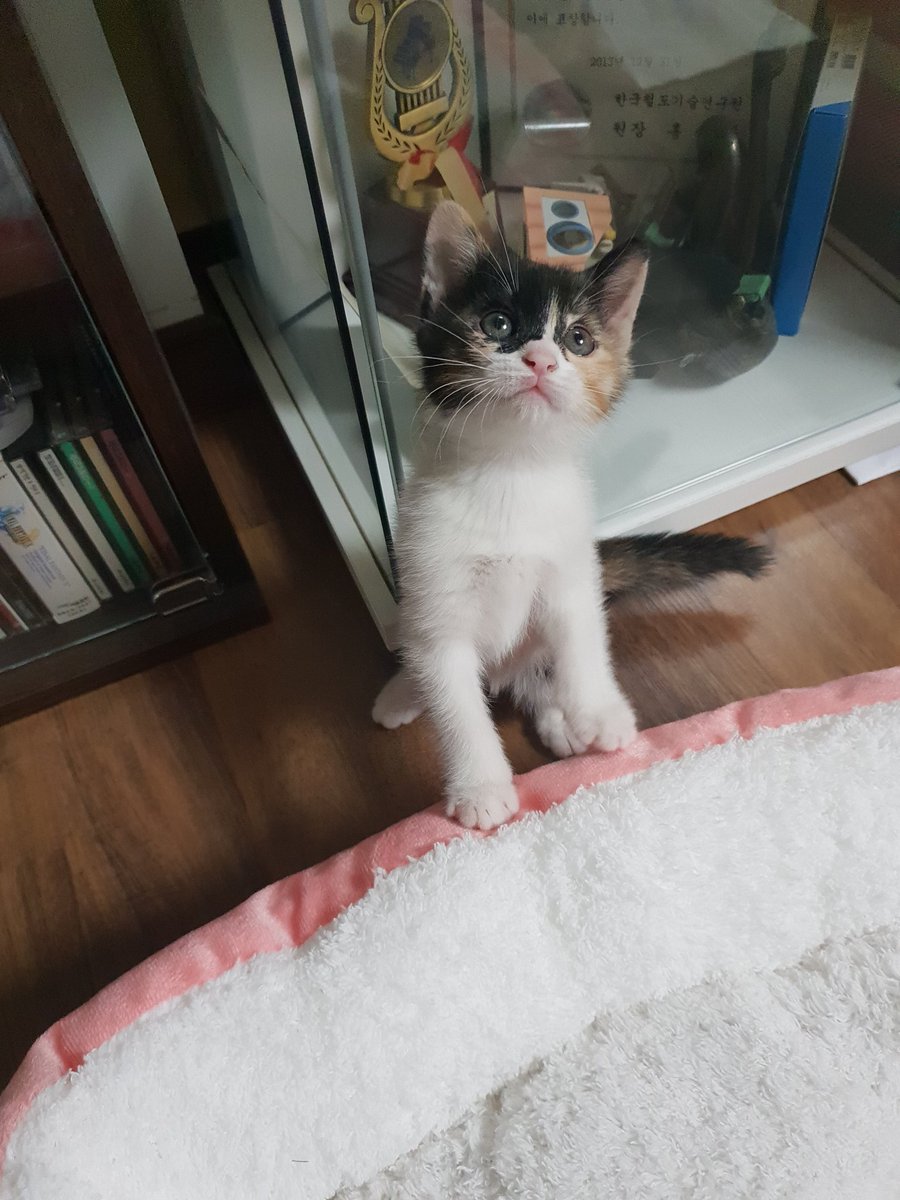 반지고리 tweet media