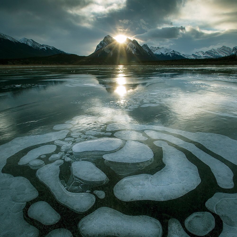 albertapreserve's tweet photo. Did you know the popular #BubbleLake is located in Alberta’s #BighornBackcountry? Designating the area as a wildland park would protect a sensitive ecosystem & preserve recreation for generations to come. Help make it happen: https://t.co/nUayfaK4Mt #AlbertaPreserves #yeg #yyc https://t.co/s33xOCbE4D