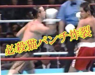 キャットアパートメントコーヒー ウニちゃんが机の上でゴロゴロしていたら突然ロクちゃんが飛び乗ったものだから 怒られて最後どつかれてました おてて短いから届いてなかったのは内緒 T Co Onhkzuzujg Twitter キャットアパートメントコーヒー ウニちゃんが机の上でゴロゴロしていたら突然ロクちゃんが飛び乗ったものだから 怒られて最後どつかれてました おてて短いから届いてなかったのは内緒 T Co Onhkzuzujg Twitter