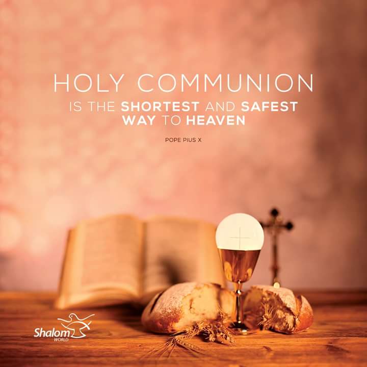 ShalomWorldTV's tweet photo. Holy Communion is the shortest and safest way to heaven. - Pope Pius X

#ShalomWorldTV #HolyEucharist #HolyCommunion #BodyOfJesus #PopePiusX https://t.co/gEDI77TwAy