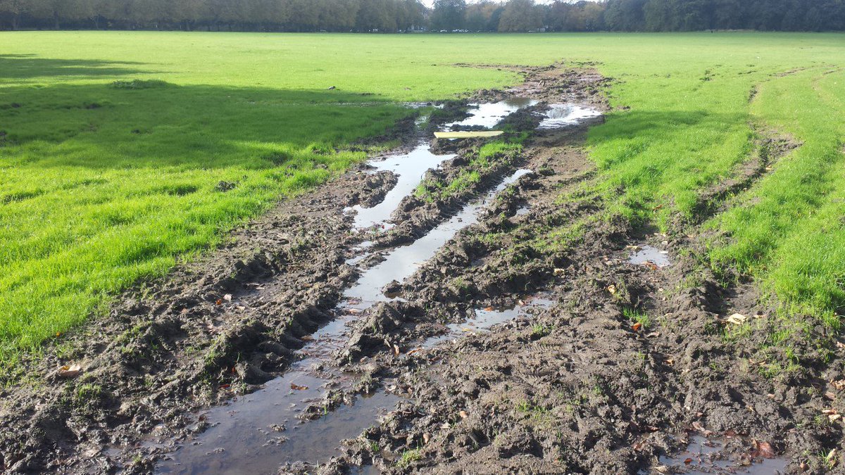 SaveSeftonPark's tweet photo. All the pollution you left behind in 2017( #LivFoodDrink / #skevents ) ... Is no picnic for any would be picnicker , or forager.
Whether they be a bear, bird, fox or child!
#SaveSeftonParkMeadows
#LiverpoolGreens
#SeftonParkVG https://t.co/31f3EzRFyu