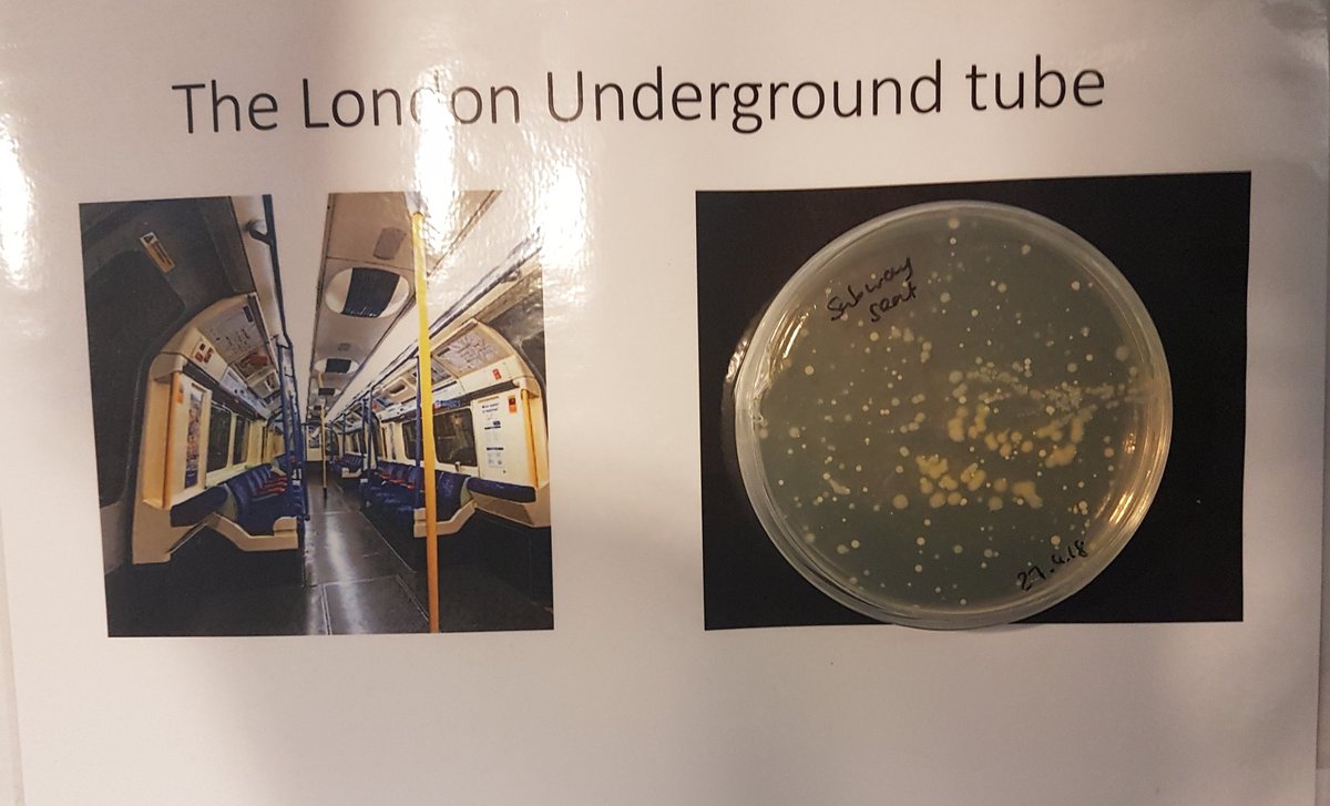CaroBrogan's tweet photo. The #SuperBugZone at #ImpFest: putting us off using @TfL tubes since...just now 😉😉 https://t.co/m5CpifmXda