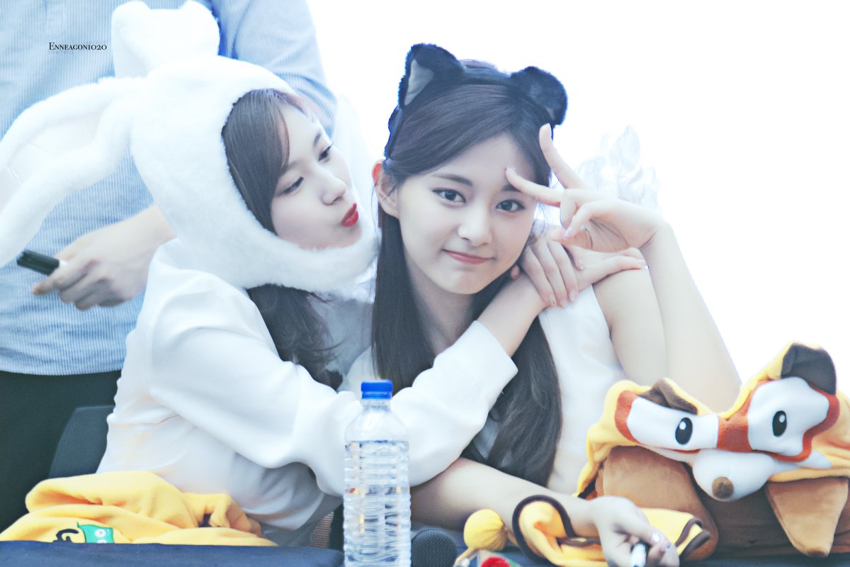 Enneagon1020(앤니어곤) tweet media