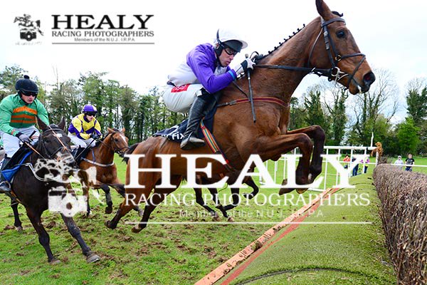 WJHJT's tweet photo. BUSTER VALENTINE @DerekOConnor82 put in an impressive display when winning @GoffsUK the 5YO Geldings Maiden at Stowlin @p2p for @EASYFIX1 @coolmorestud https://t.co/pRtb3vZQBV