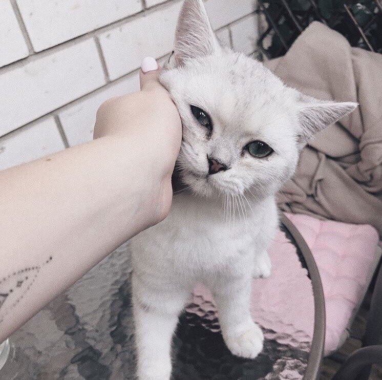 offmaprang's tweet photo. [ ☁️ #infinityfactsaboutme ☁️ ] https://t.co/yKeXDe2FEb