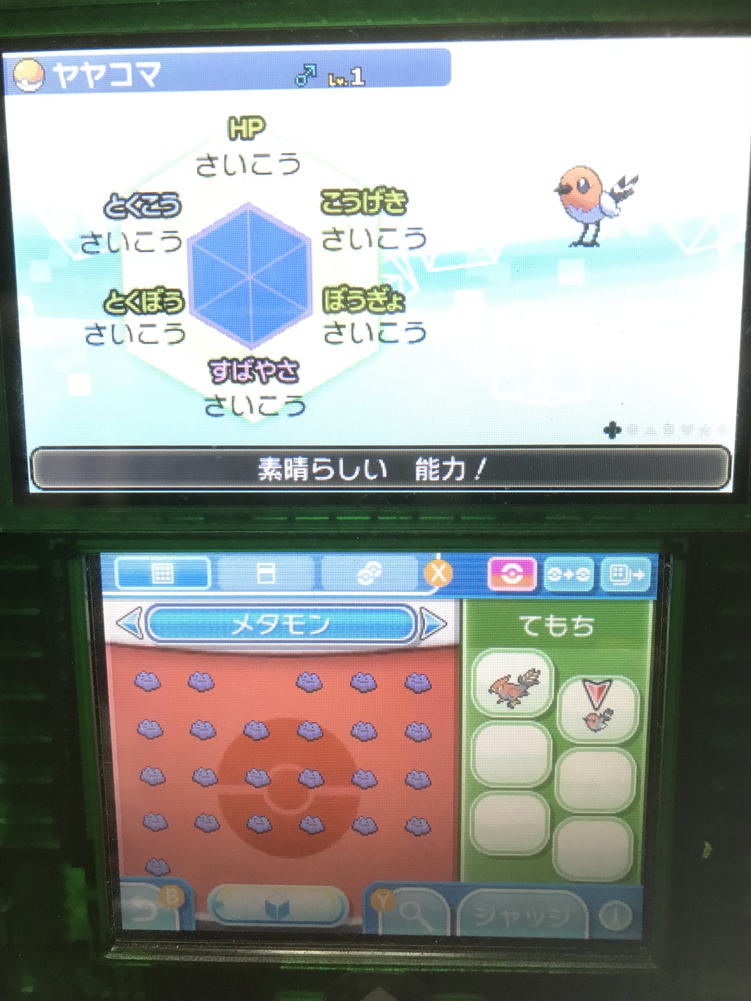 ポケモン6v記録 Twitter
