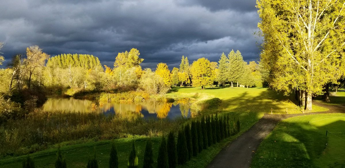 Beautiful morning,, the clouds are on the way out, the sun is here, the greens are looking great..no membership needed, our clubhouse, full menu is open till 9pm tonight.