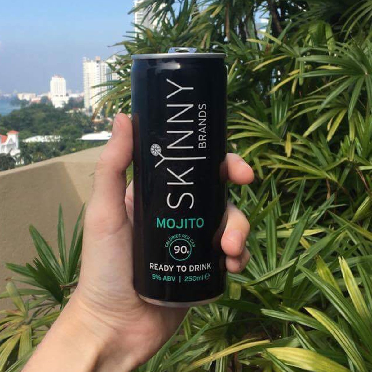SkinnyCocktail1's tweet photo. The countdown to summer has begun 🍸 https://t.co/ccHStaUsWA