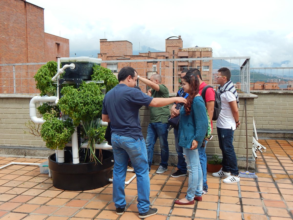 La_network's tweet photo. .@DZapataCordoba y un grupo de amigos que integran el colectivo @DelTechoCol, han propuesto desde hace dos años bajo la técnica de Acuaponía, fomentar las huertas urbanas en favor de las comunidades más vulnerables de la ciudad colombiana de Medellín. https://t.co/CQ72F17Z12 https://t.co/PjguHbVCSY