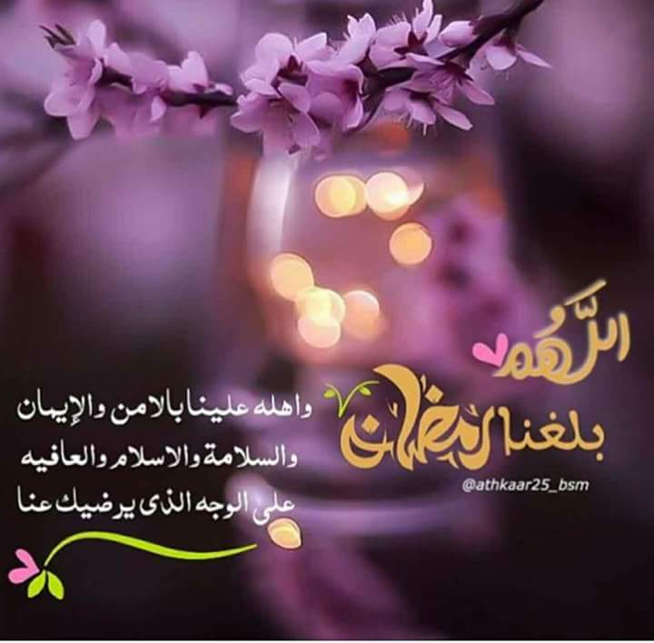 DouaeJajat's tweet photo. https://t.co/ev7nI7YEdP
