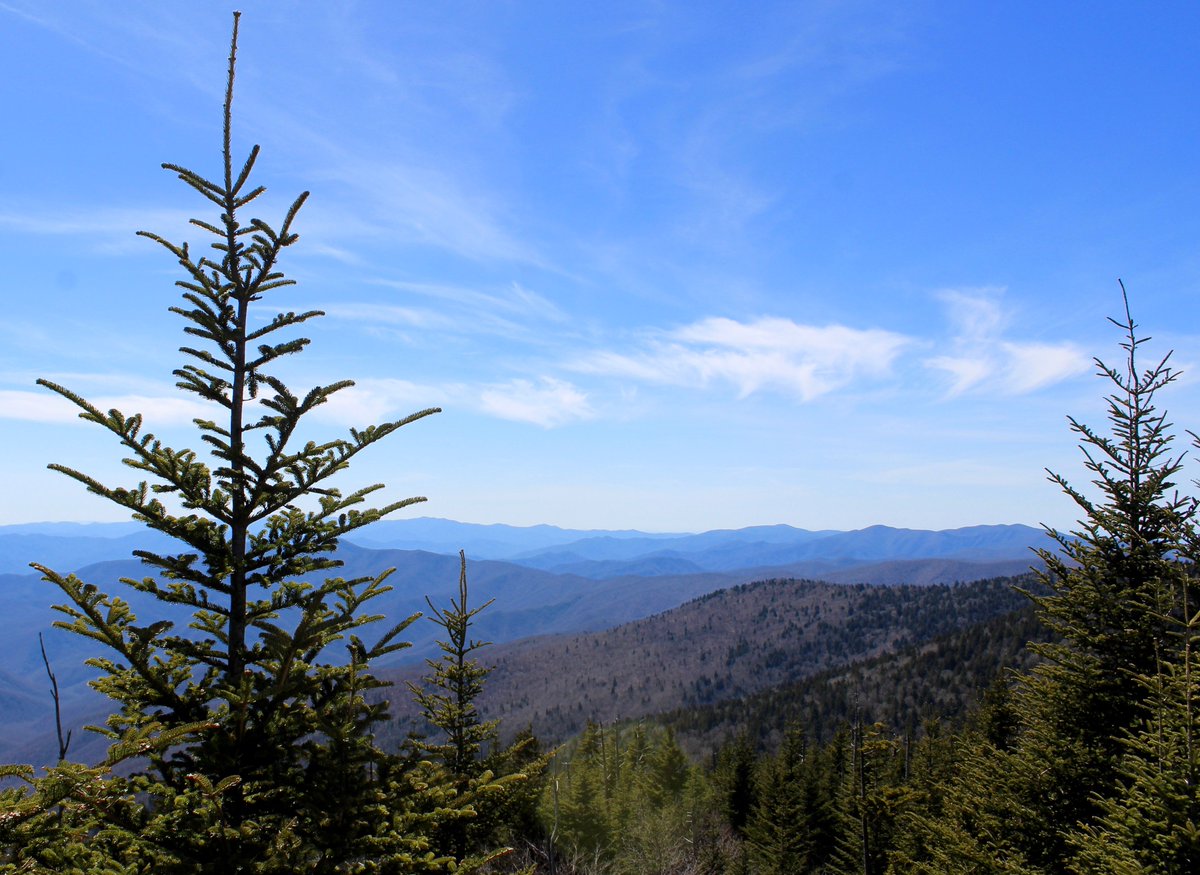 TravelGburg's tweet photo. Every mountain top is within reach if you just keep climbing. https://t.co/GimLKZOjzs