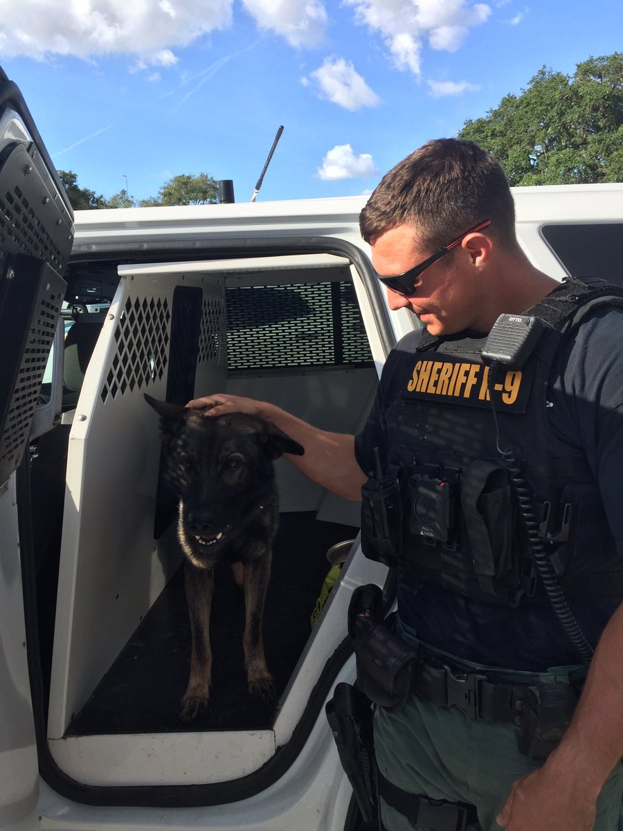 .#PascoSheriff is giving away 5 #9PMRoutine t-shirts if they can get 69,000 followers by 8PM tonight.🏆

Dep. #Carmack says you can pet #K9Shep if you help them do it. 🐕
😘

Please follow👉<a href="/PascoSheriff/">Pasco Sheriff</a> &amp; Retweet this post to help #Pasco!💚

<a href="/LivePDNation/">Benny</a> @LadiesOfLivePD