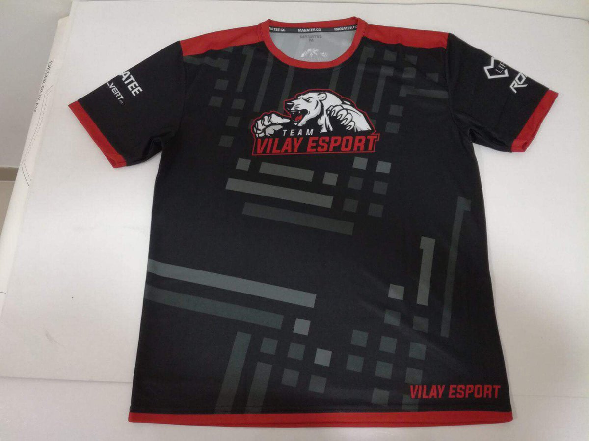 Vilay Esport tweet media