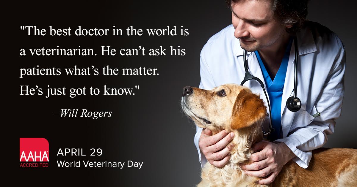 Halifaxvets's tweet photo. Veterinarians and their staff are your partners in pet health.  ❤️ #WorldVeterinaryDay https://t.co/XhsNxVAEOU