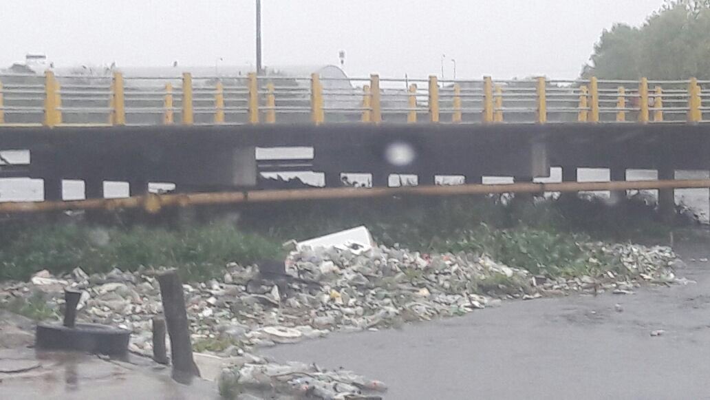 RioReconquista's tweet photo. Lo que la lluvia trajo... tras las intensas precipitaciones toda esta basura que tiramos al río, llegó a la Pista. Tomemos conciencia que los Ríos no son basurales. No se olviden del Reconquista... https://t.co/0Z4NHWU8tO