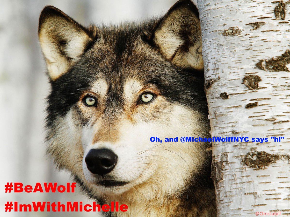 ChrisLutolf's tweet photo. #SundayThoughts
Thank you, @michelleisawolf.✨
F*ck you, MAGA hypocrites. Your double moral standard stinks to heaven.
#BeAWolf
#ImWithMichelle
#IMawareIMaWOLF
#REMEMBERinNOVEMBER
#VoteOuthypocrites
#VoteOutGOP https://t.co/MSVYjKmlTv
