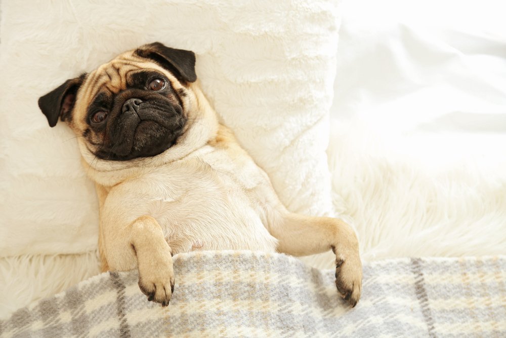 4seating's tweet photo. What do you mean tomorrow is #Monday? ��� https://t.co/rmB0hks0a8