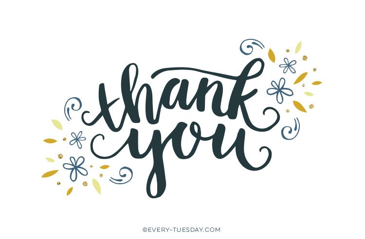scahq's tweet photo. Thank You to all #SCAMember Volunteers! This week is National Volunteer Week and we want to express our gratitude for your commitment to advancing the field of cardiovascular anesthesiology and your continued support of the Society. Tag someone you know who volunteers with us. https://t.co/Wq02rjEKbi