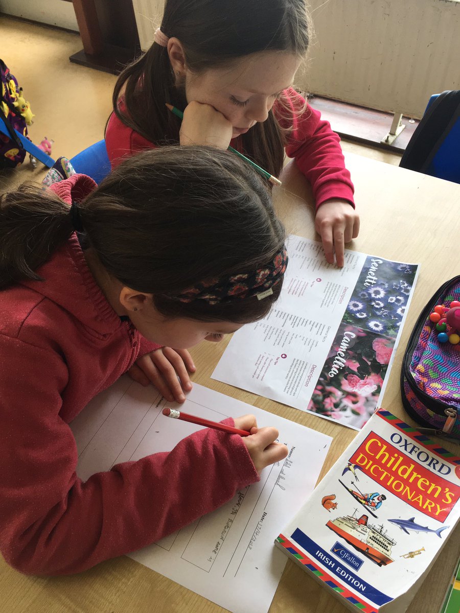3rdclassGETNS's tweet photo. Learning about plants and engaging in shared report writing today 🌺🌸🌼🌱🌳🌹🌻🍁 #getns #teamwork https://t.co/gzOIgsszuF
