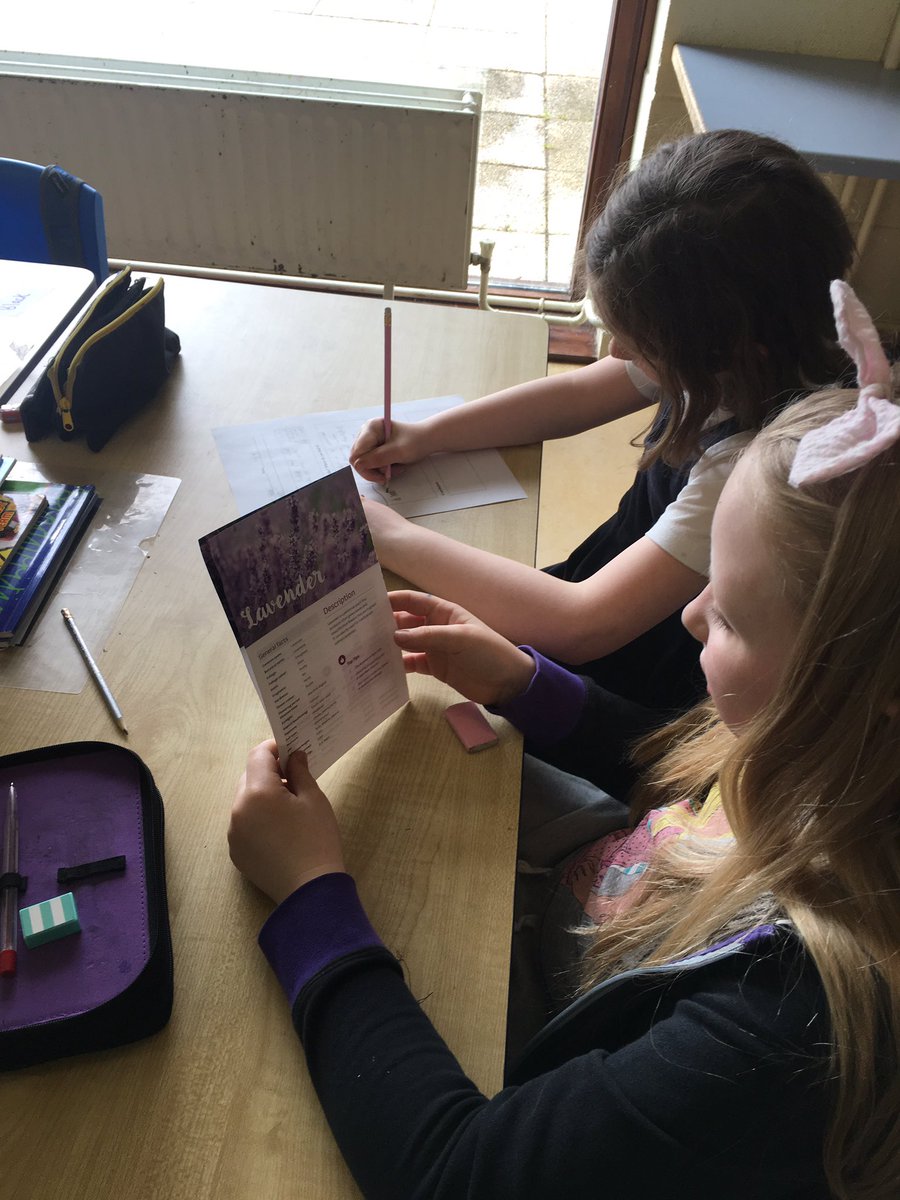 3rdclassGETNS's tweet photo. Learning about plants and engaging in shared report writing today 🌺🌸🌼🌱🌳🌹🌻🍁 #getns #teamwork https://t.co/gzOIgsszuF