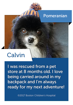 Happy #NationalVolunteerWeek - including our fur volunteers! BCH would not be the organization it is without the dedication, care, and passion our volunteers bring. If you're interested in volunteering, fill out an application on our site childrenshospital.org/ways-to-help#V… #goodboy