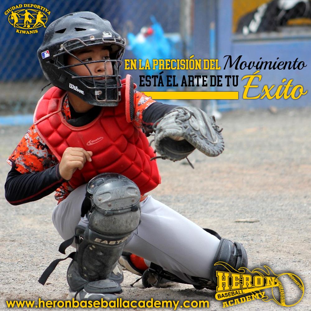 heronbaseballacademy tweet media