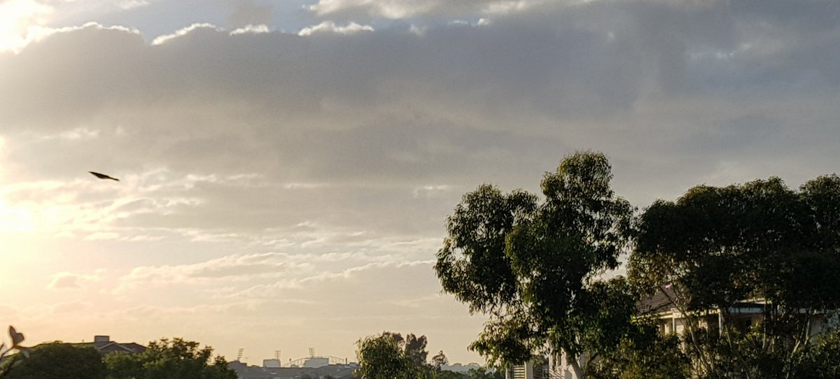 CherScheff's tweet photo. good morning ☀️ #Wednesdaysky https://t.co/ahzEHJGtbC