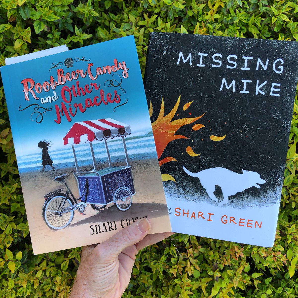 Just finished Macy McMillan & the Rainbow Goddess.  Started Root Beer Candy & Other Miracles w 1 of my poetry bookclubs. MISSING MIKE (pubs in Sept.) arrives & I’m excited to start it!  Right now I’m all in for novels in verse!  #nationalpoetrymonth #novelsinverse #mglit #kidlit