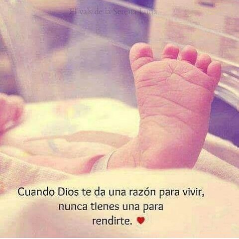 MaibolP's tweet photo. Loca que pase el tiempo yupiii https://t.co/5epznCj5nv