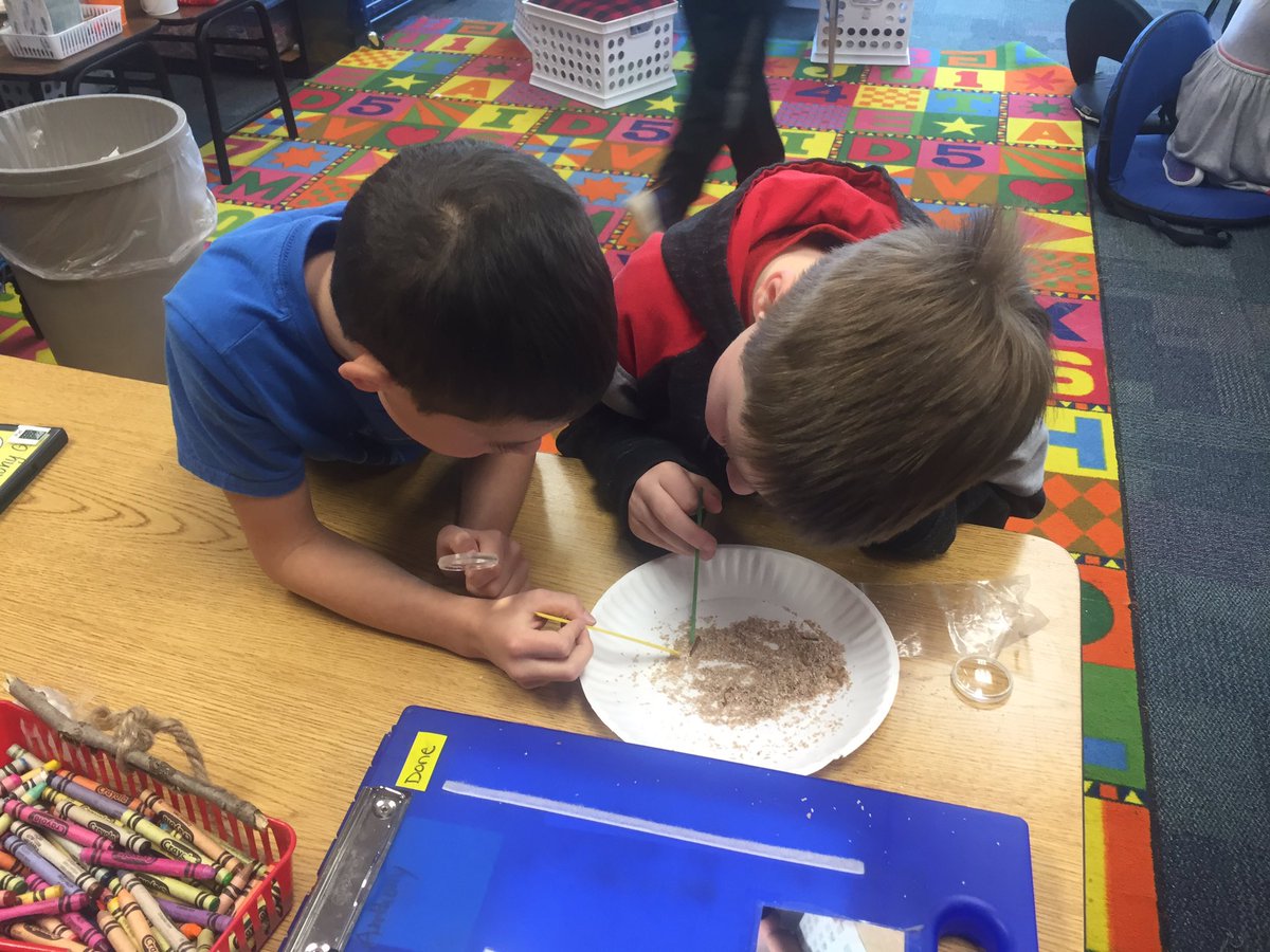 McMillansClass's tweet photo. Our Entomologists studying the life cycle of mealworms.@McMillansClass @Jyouanes_ADDAMS #AddamsLearners https://t.co/05Zsc9m7T2