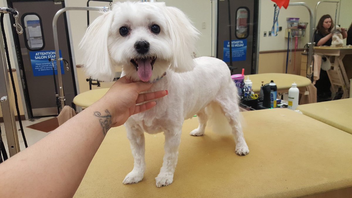 STYLIST Tiffany DAT Sarah #0771 #CNY #northeastgrooming #extrememakeover