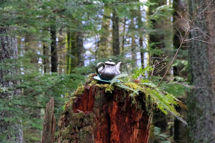 CFOXvan's tweet photo. Spot teapots along this little hike near Cultas Lake. #TeapotHill @VancouverTrails -- JB
https://t.co/Uy0Iafa5Ck https://t.co/cCRAPsilHu