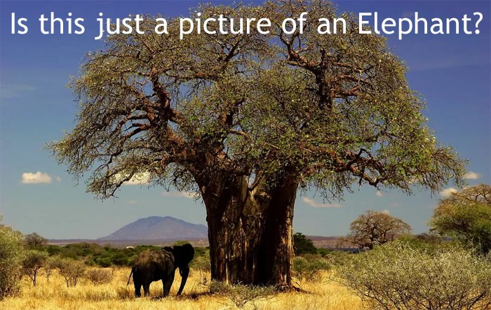 ProtectsTrees's tweet photo. What is Plant Blindness? 
"The inability to see or notice the plants in one's own environment."
Learn more on anthropocentric ranking of plants as inferior to animals &amp; this impact on our natural world.
https://t.co/GtuzMy9gbD
#GoNative #SeeingTrees @GNPSociety
@ProtectsTrees https://t.co/I0F6h58c9A