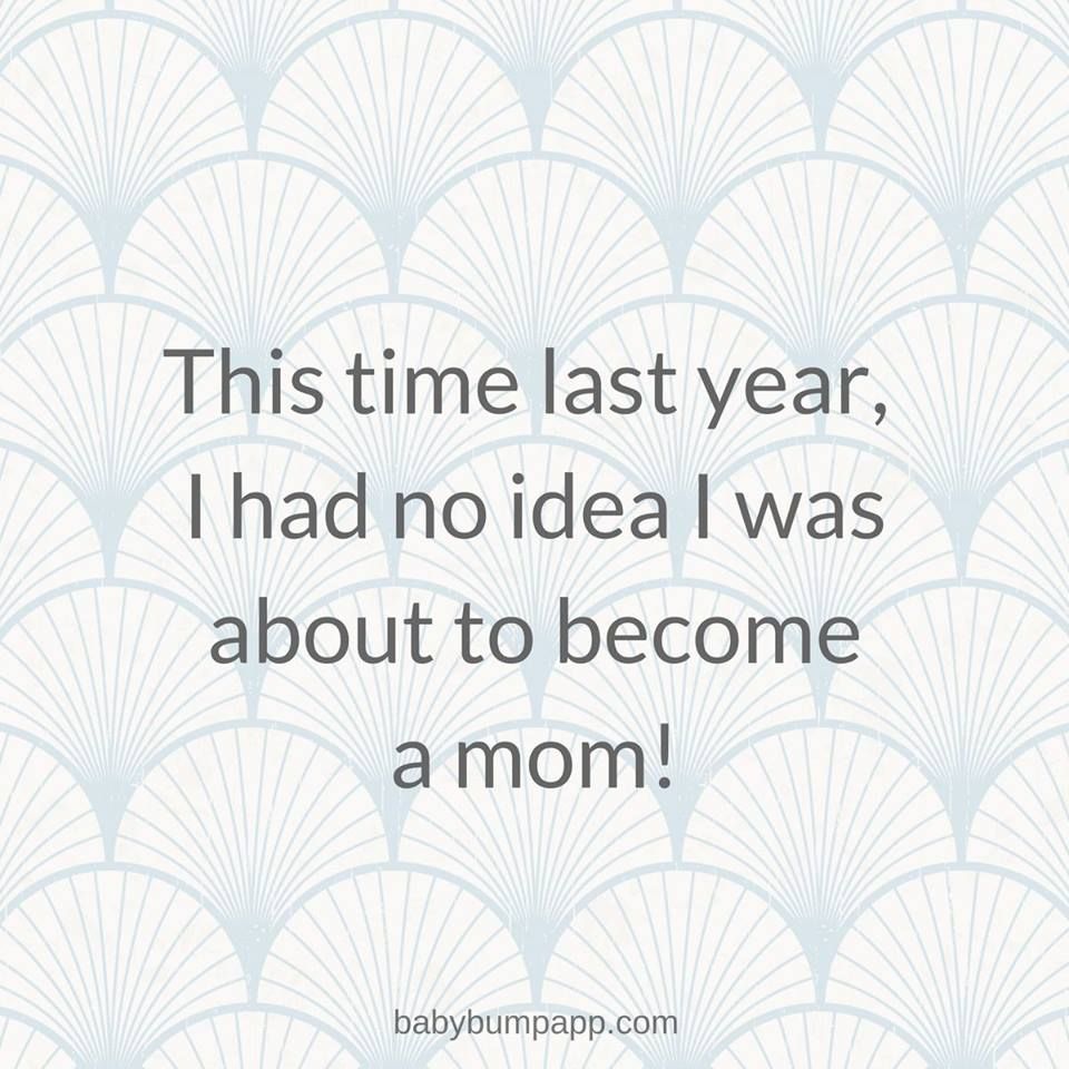 Baby Bump tweet media