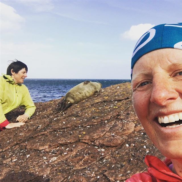 digilbertclimbs's tweet photo. It turns out you can get pretty close to a seal pup when it is sleeping. @scarpa_uk @deuter @scottrailruns #allisons #cockofarran https://t.co/r655z2cszk