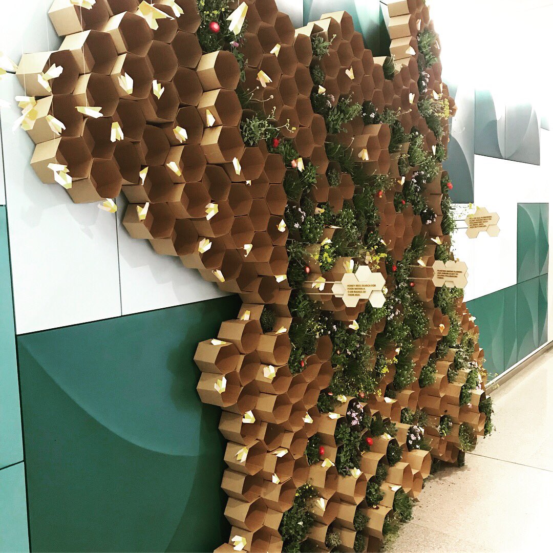 Nick Philip tweet media