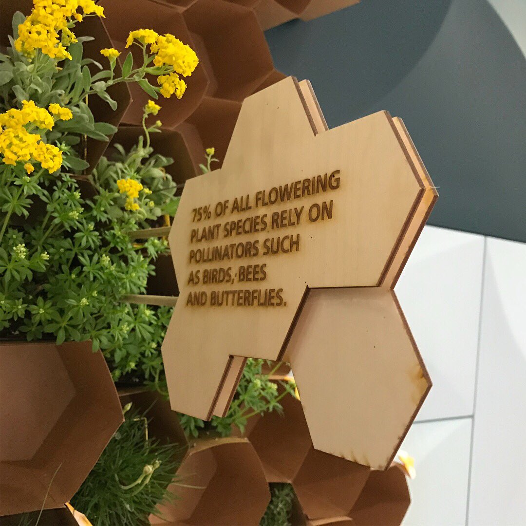 Nick Philip tweet media